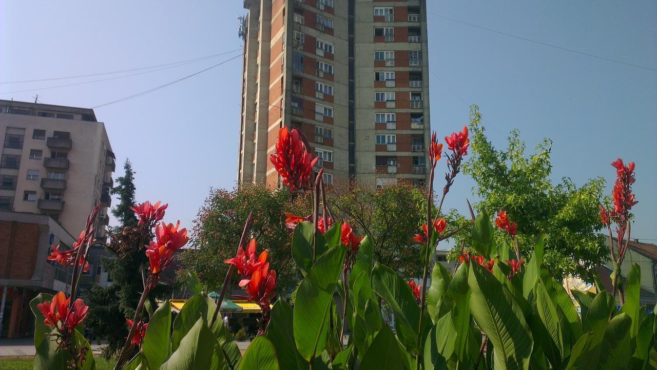 Hotel Konaciste Trstenik エクステリア 写真
